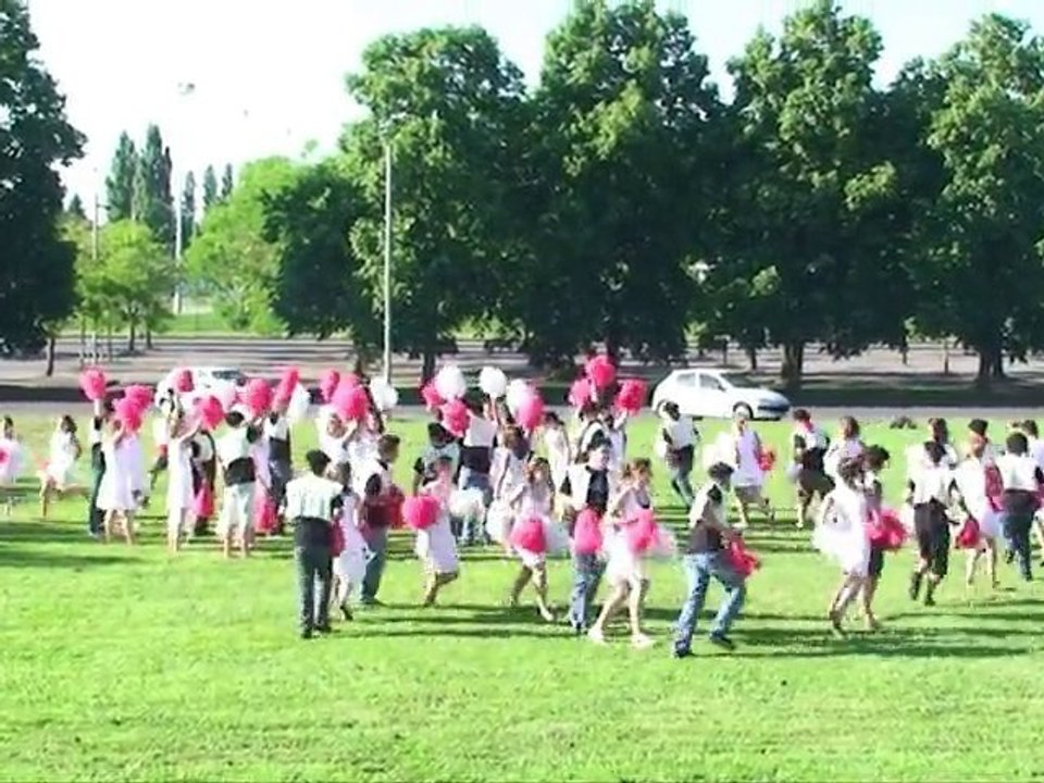 ENSGTI : Pompoms 2010 (Tic)