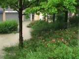 Le déluge à Meylan, inondations aux Buclos, 06 juin 2010