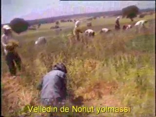 Banaz Sabanköy Veledin Nohut Yolma