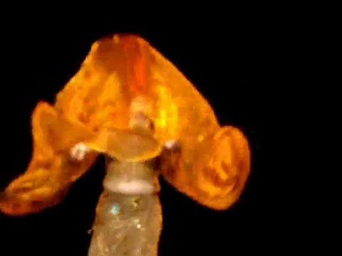 1521 scène 9 la mort de Bayezid.mpg