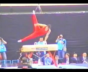 Gymnastics - 2002 World Championships - Pommel - Suciu