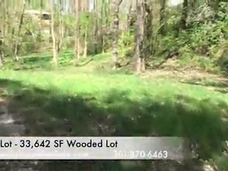 Bethesda custom architects