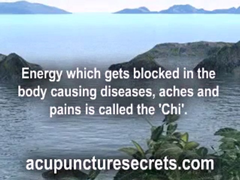 Acupuncture meridians A Certified Green Retreat