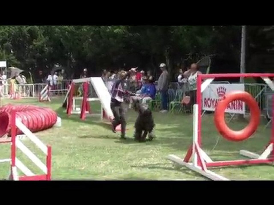 Umberto agility  Arles 2010
