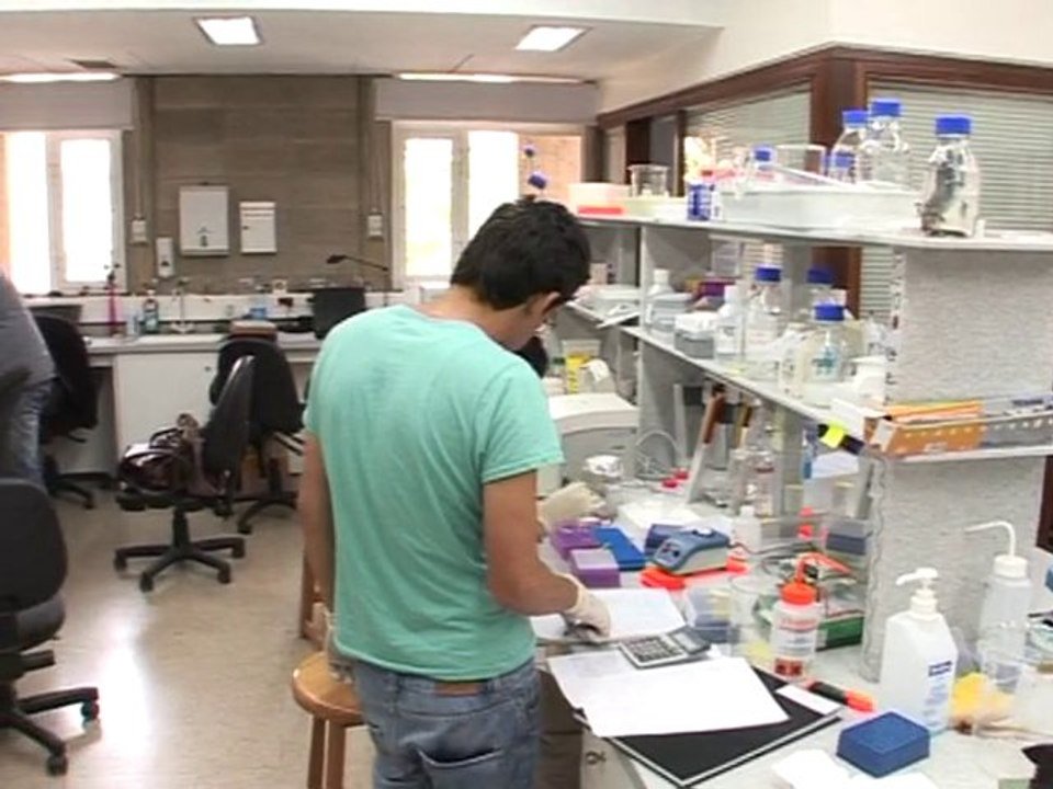 Science sheds light on Lebanese origins