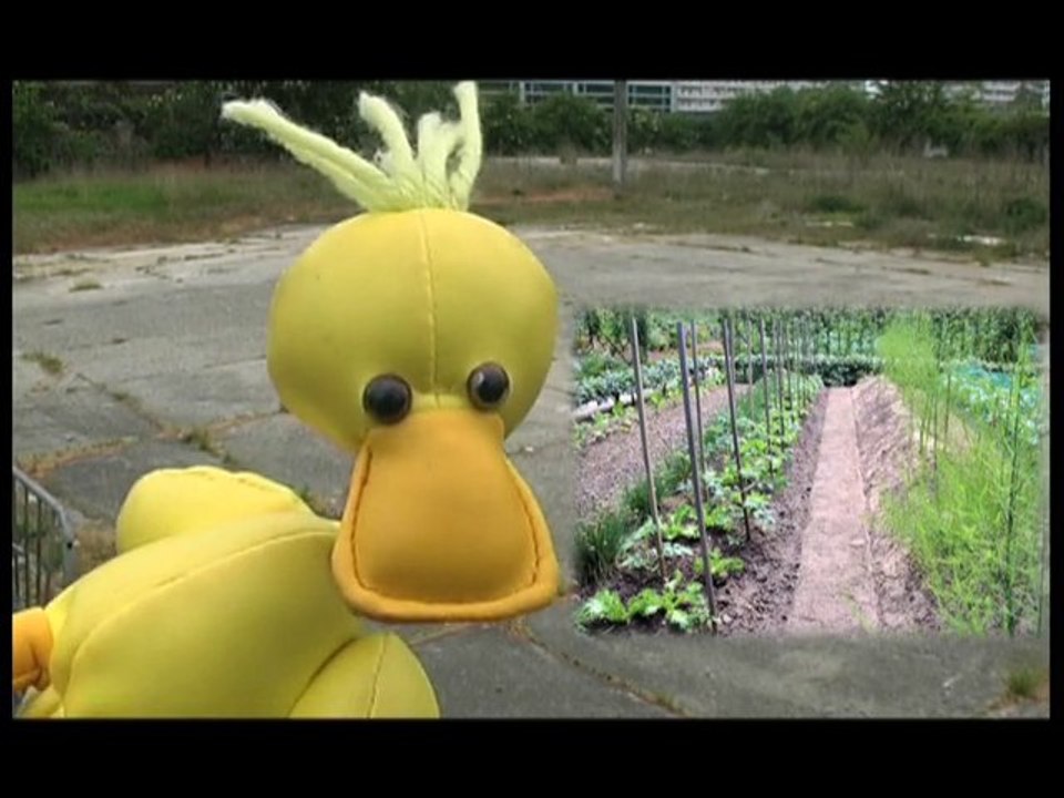 L'Agenda 21 à quoi ça sert ? Episode 1: Imaginer