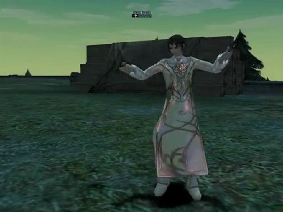 Lineage 2 pvp team france