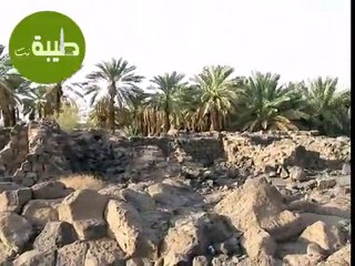 ‫حصن كعب بن الأشرف اليهودي بالمدينة المنورة‬‎