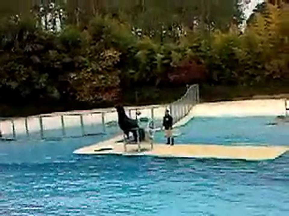 Beauval3