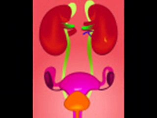 Some Methods of Urology