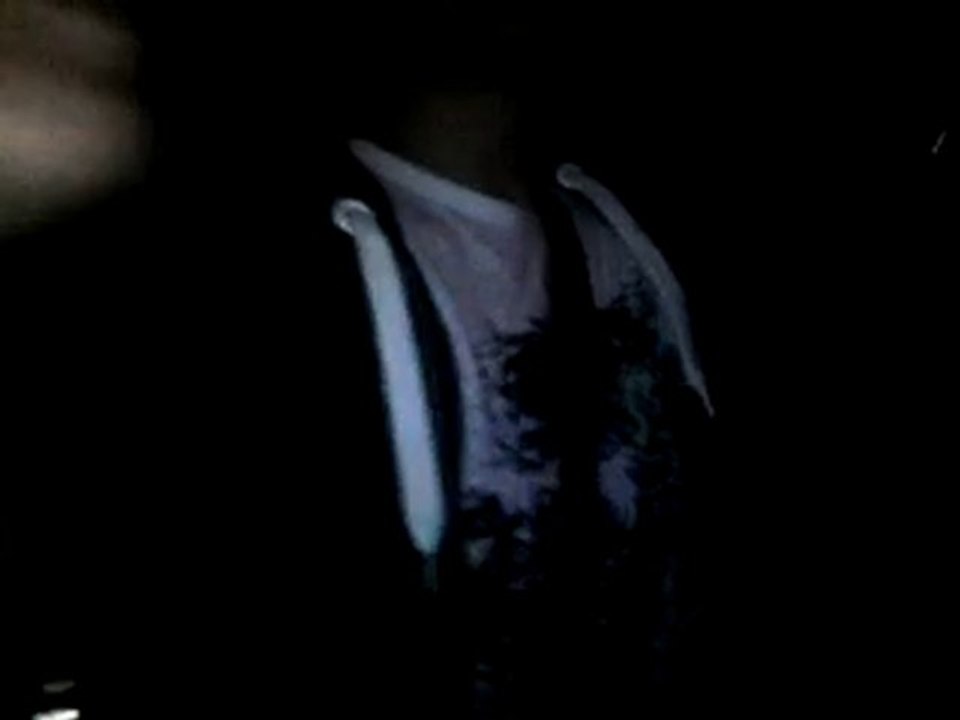 Qu'est-ce qu'un mosh ?