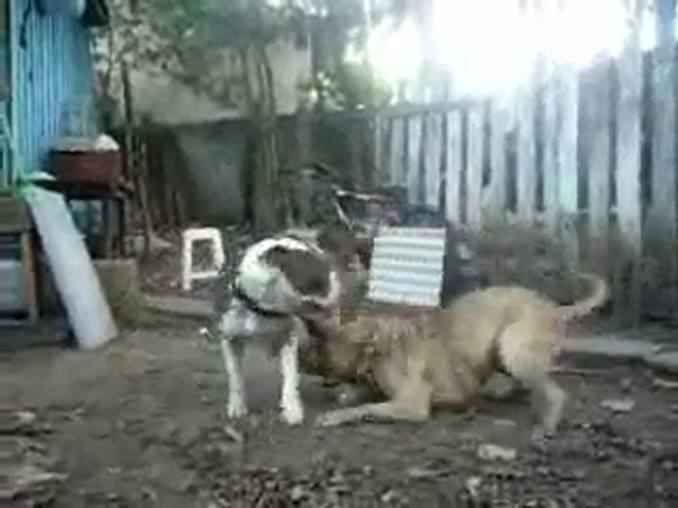 Sen bana ben sana :)