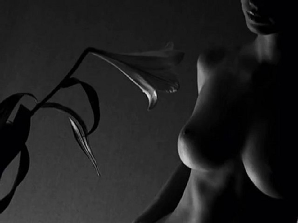 anatoly dneprov - radovat.mpg