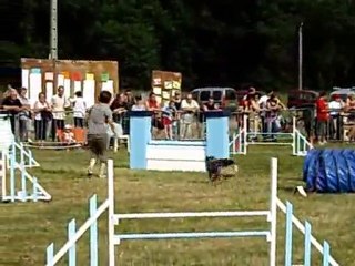 nat jumping  langeac 2010