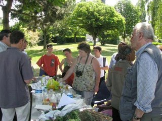 "A la découverte des jardins familiaux à Villiers le Bel"