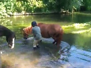 ya pas que les poneys qui aiment l'eau