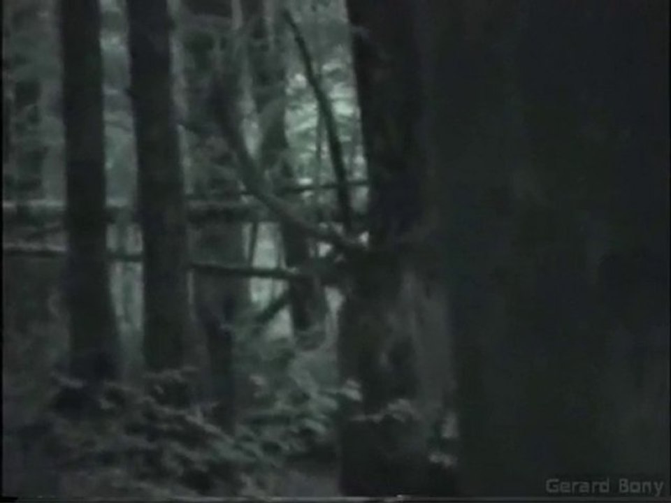 brame2008.00 en foret d'argonne marne 51