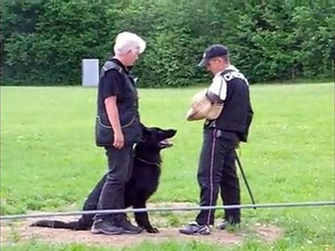 bawl des orckis de l'adret