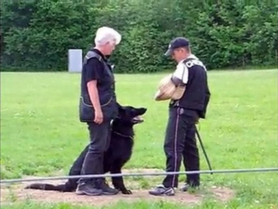 bawl des orckis de l'adret