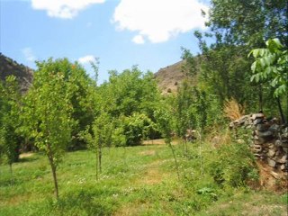 Gölova-Arslanca www.golovagenclik.com