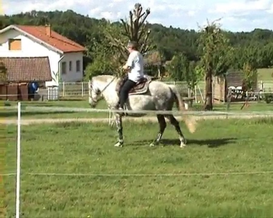 kuzco 7 juin 2010