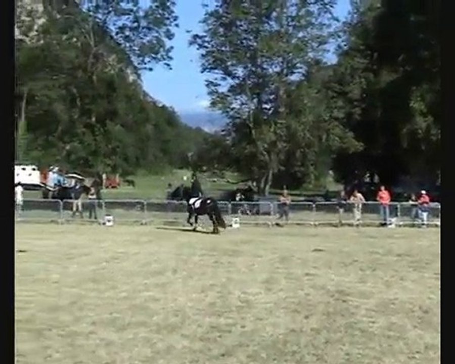 Said du Grand Bosc à Bouan