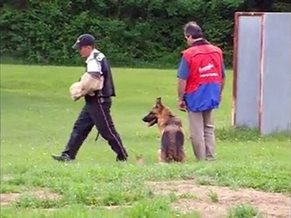 bandit de la garsende