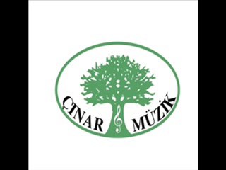 Sinan Özen - Duygulara Gem Vurulmaz