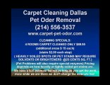 Mckinney tx carpet cleaning pet odor removal water extractio