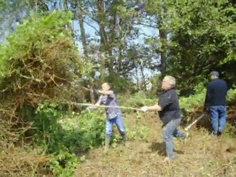 Débroussaillage à Orly sur Morin
