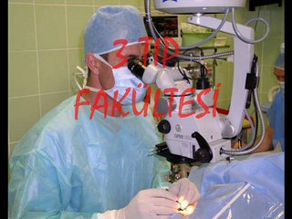 suleyman nazif anadolu lisesi