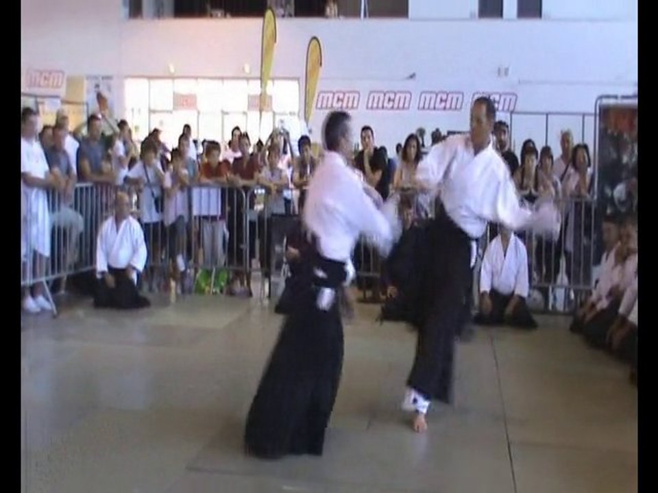 2010 06 05 DEMONSTRATION D AIKIDO AU JAPANIMES