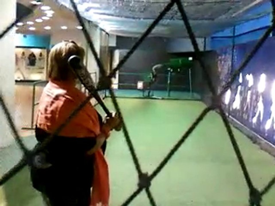 visita al museo de beisbol hall de la fama