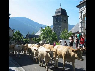 la transhumance en juin 2010