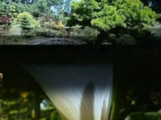 Apple unveils new iPhone