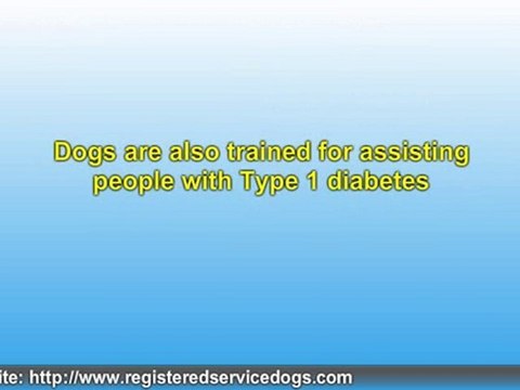 Pets As Service Animals For Seniors and the Physically Handi