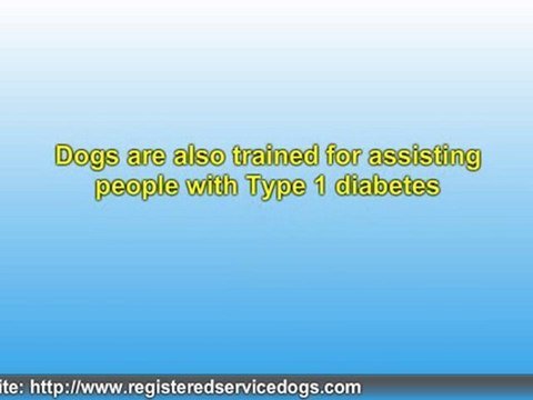 Pets As Service Animals For Seniors and the Physically Handi