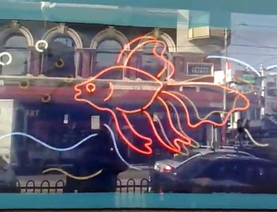 The Beauty of Melbourne