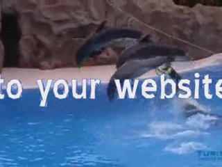 Webbyrå Borås | Streamcode (Webbdesign, Webb-tv, Streaming,
