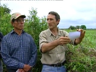 Argentine : le soja de la faim (2005) 1/2