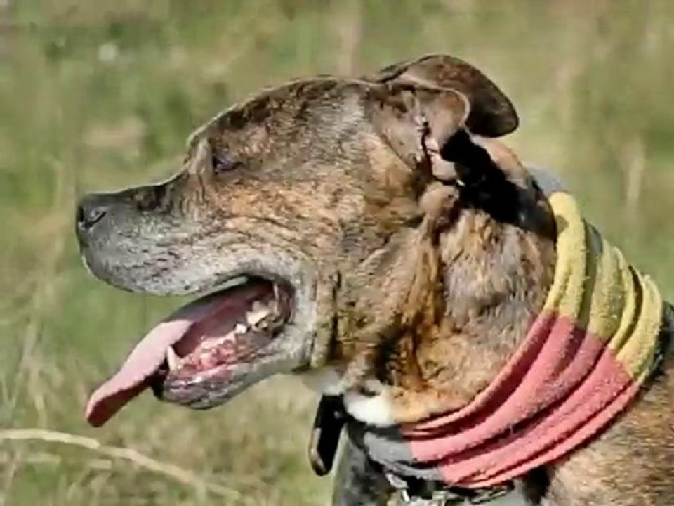 maxy time lapse face moor.