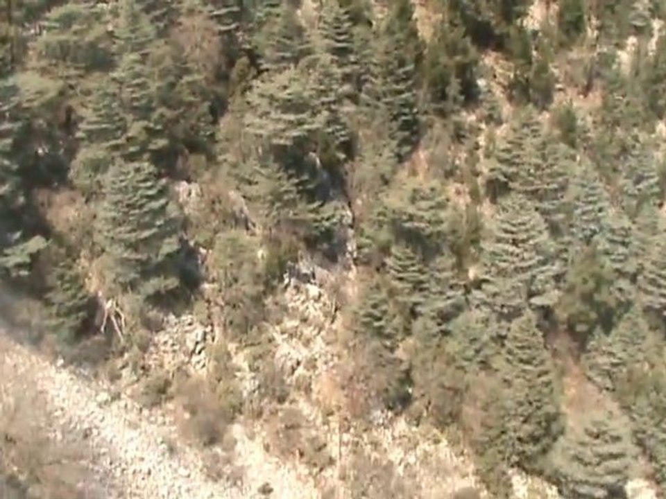 Antalya Tahtalı Dağı Doğası İniş 1 - Downhill Mountain