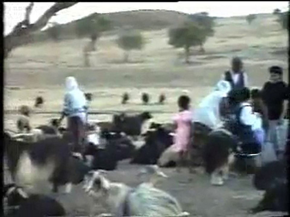 (Tasdibek-Varto) Xirbaqub - Gimgim_1