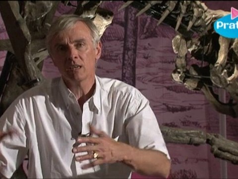 Existait-il des dinosaures à plumes?