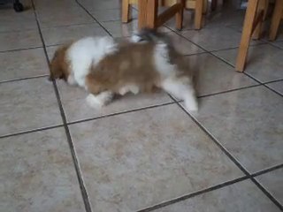 fiona 4