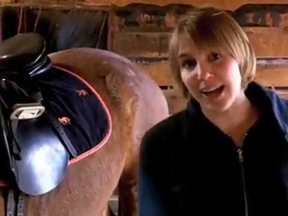 How to tack up a horse