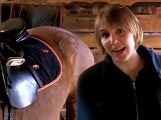 How to tack up a horse