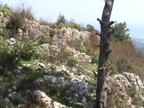 Antalya Tahtalı Dağı Doğası İniş 2 Downhill Mountain Nature