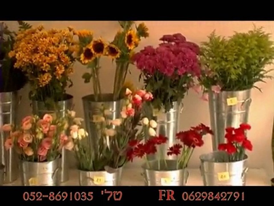 la rose du desert\ warren journo