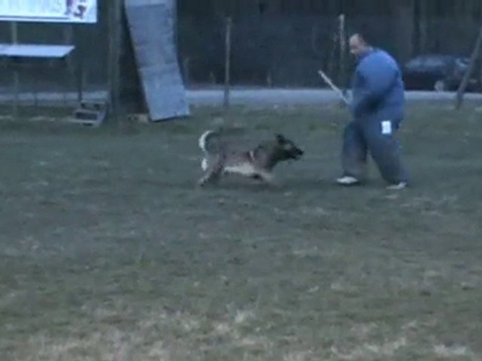 face barrage baton Cisco